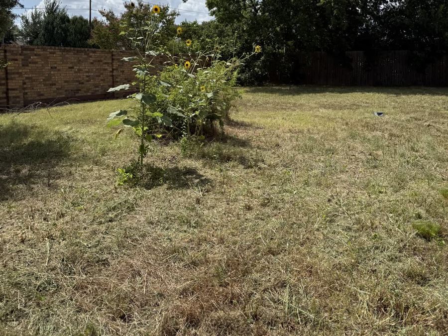 Same backyard fully cleared and mowed after service — Arlington, TX