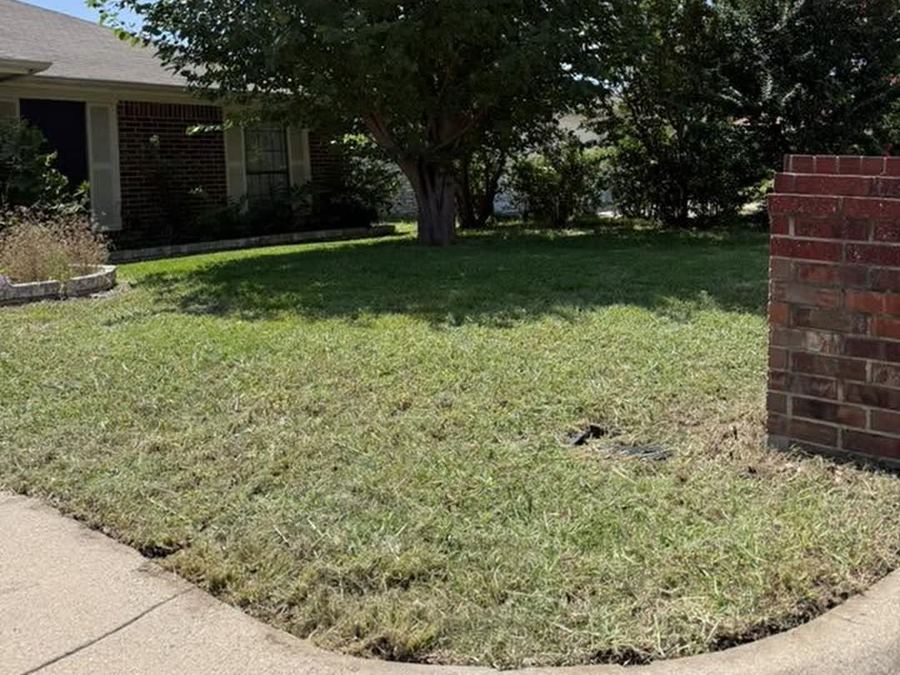 Same front yard cleanly mowed and edged after lawn service — Arlington, TX