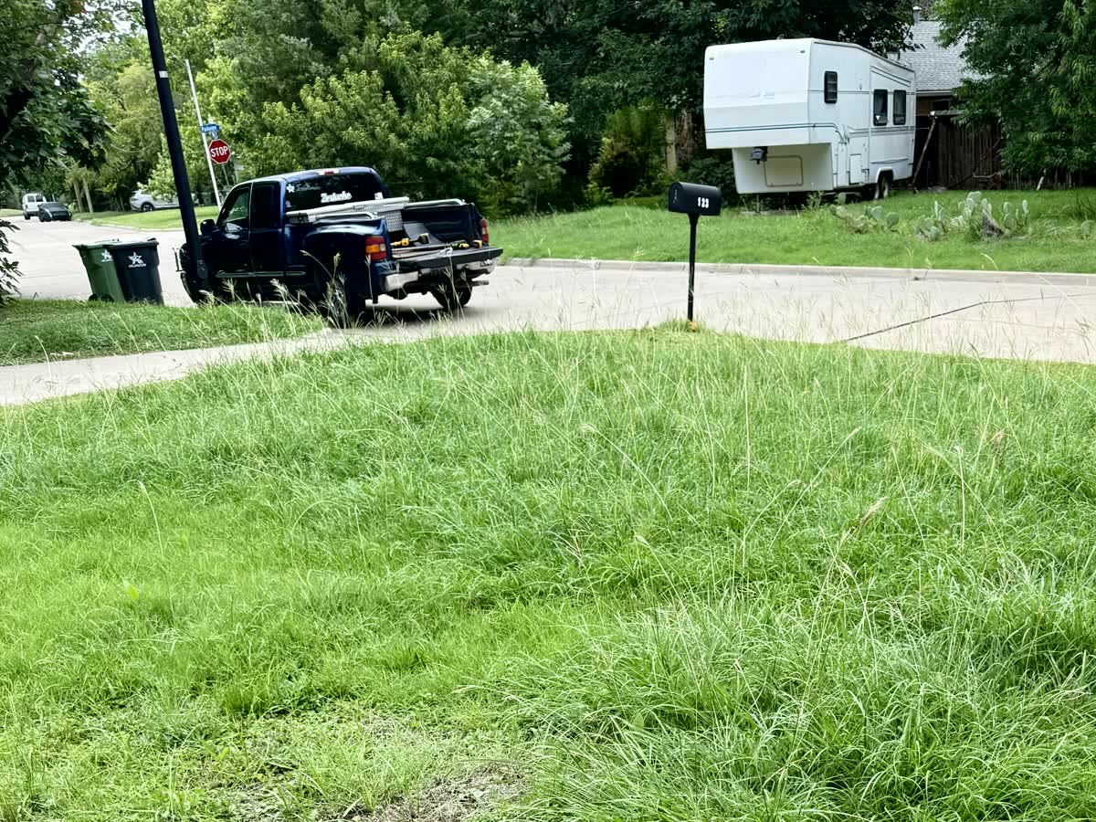 Overgrown front lawn with long grass before mowing — Arlington, TX