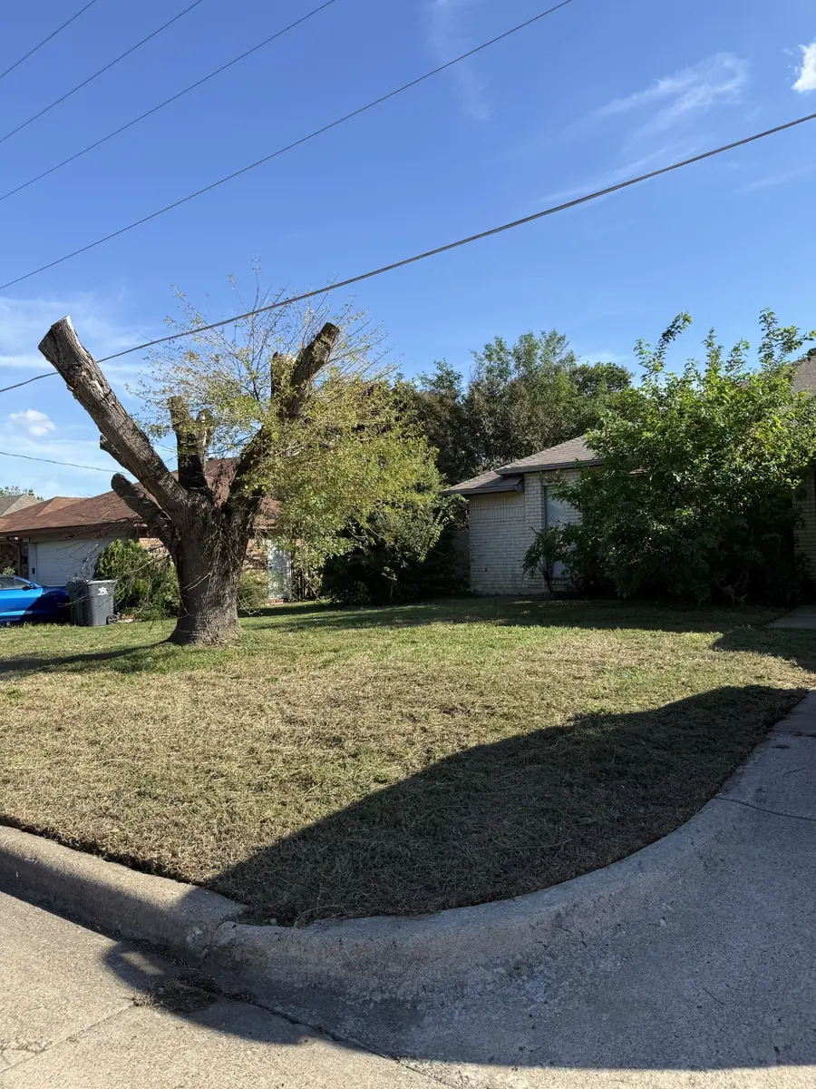 After lawn mowing: the same Arlington corner-lot lawn neatly cut and edged, with the mature tree and house still visible