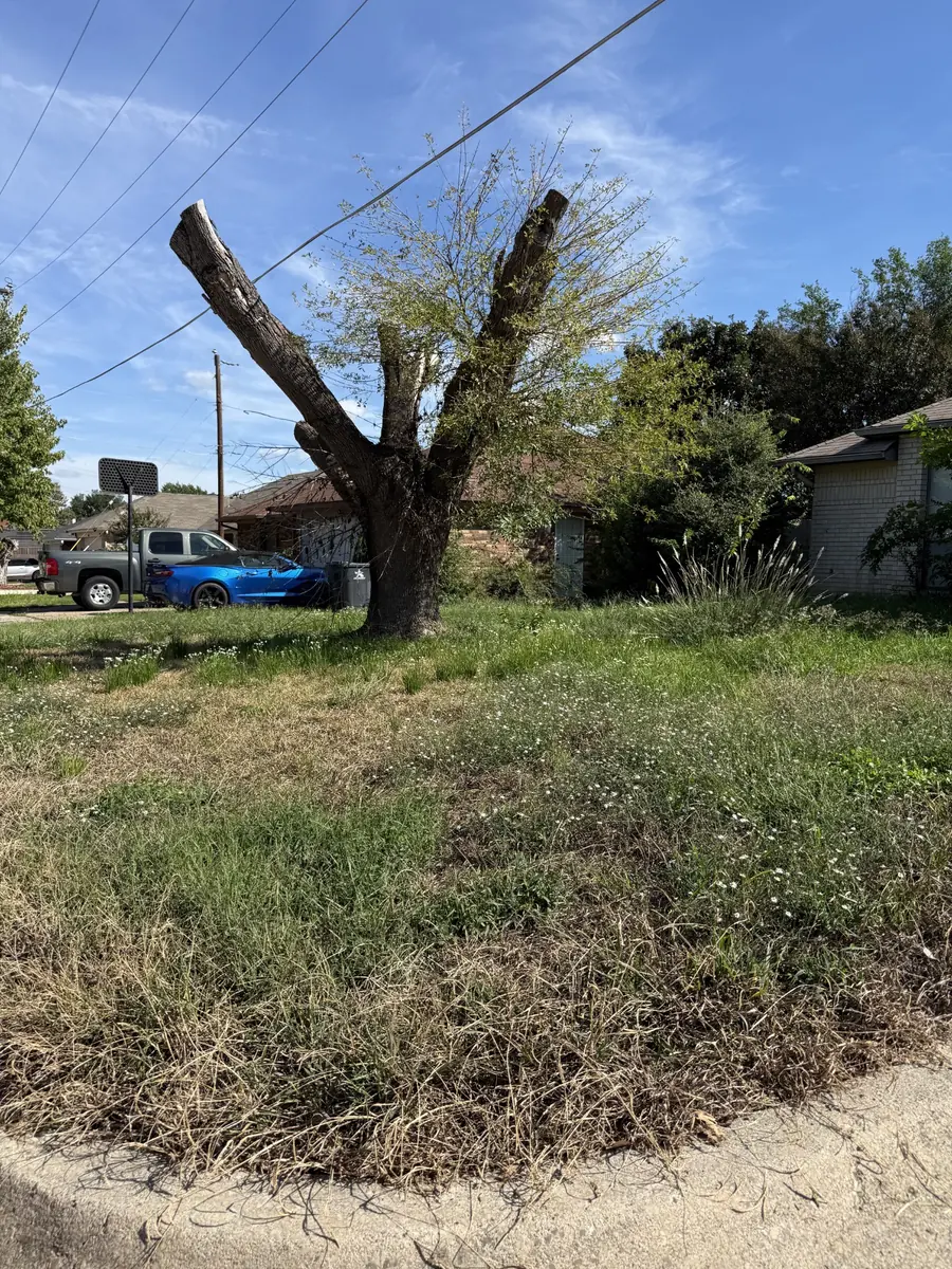 Before lawn mowing: tall weeds and overgrown grass around a mature corner-lot tree in Arlington, Texas
